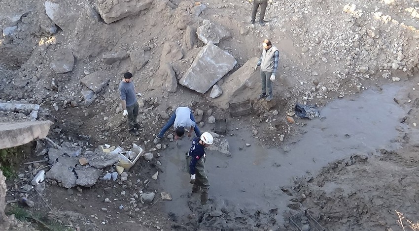 Şanlıurfa'da tam 240 tane hayvan çamur bataklığına saplandı kaldı. Ekipler devreye girerek tek tek 240 tanesini kurtardı