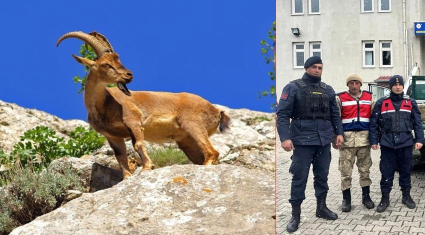 Malatya'da jandarma ekipleri doğada gezdikleri sırada 1 tane keçi fark etti. Keçinin yanına yaklaşınca duygulandıran manzarayı gördüler