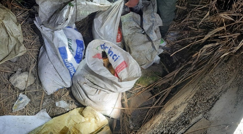 Kızılırmak Nehri'nde suçüstü yakalandılar! Açıldıkları şişme botun içinde kaçak avladıkları 59 balık ele geçirildi