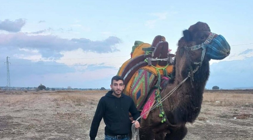 Çanakkale'de deve cinayeti! Deve güreşi için buluşmuşlardı