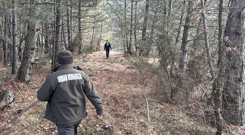 Bolu'da ormanlık alanda örtü yangını: 1 dönümlük alan zarar gördü!