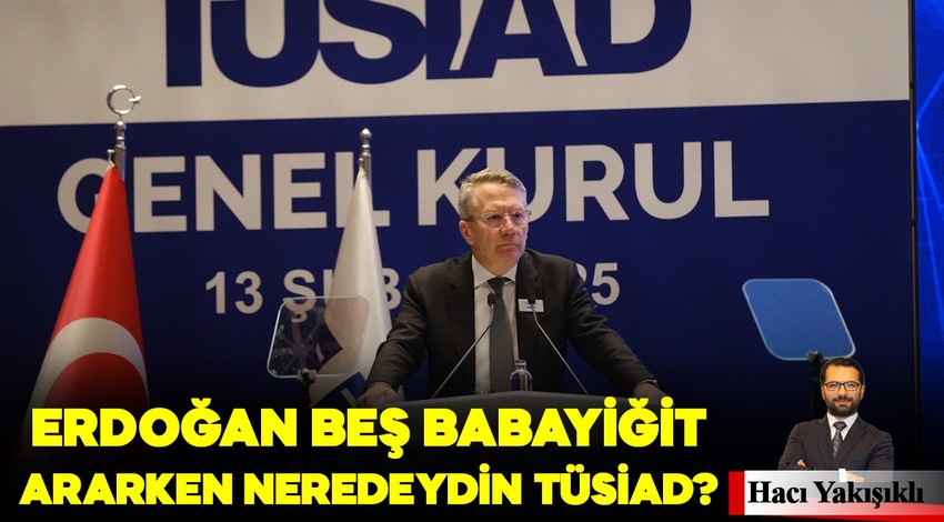 Erdoğan beş babayiğit ararken neredeydin TÜSİAD?