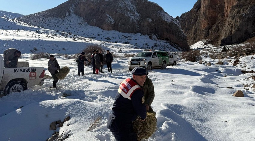 Niğde'de her yer karla kaplandıktan sonra ekipler soluğu arazide aldı. Bu kez onları hayatta tutmak için harekete geçtiler