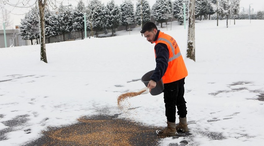 Soğuk havanın etkili olduğu Sakarya'da belediye ekipleri sokak hayvanlarını unutmadı