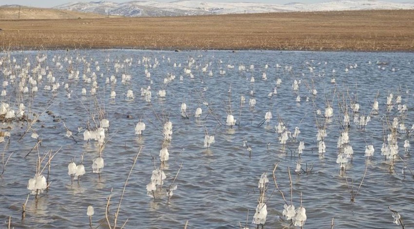Tunceli'de Keban Barajı'na gidenler, -13 derece soğukta gördükleri manzara ile şaştı kaldı. Dondurucu soğuklar yüzünden tabaka tabaka oluştu