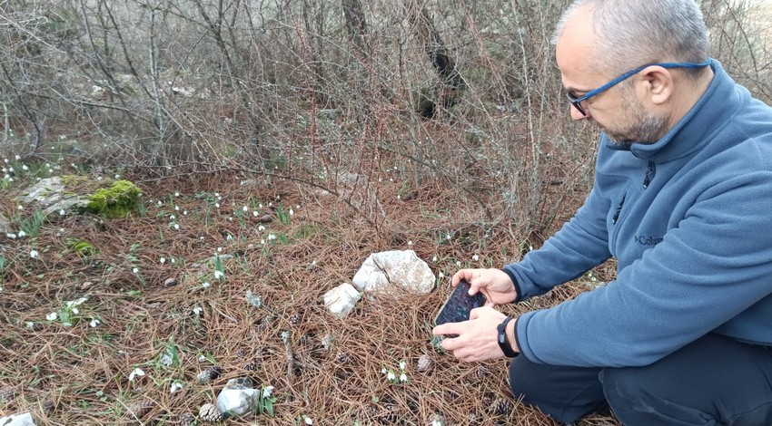 Manisa ve İzmir arasında farklı flora ve faunasıyla görenleri mest eden Spil Dağı Milli Parkı'nda kış ayında 2. kez oldu. Türkiye için endişe verici