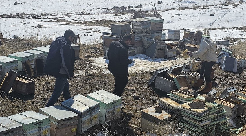 Van'da bal üreten vatandaş, kovanları kontrol etmeye gitti. Kapağı açınca korkunç manzarayı gördü. 100 kovanın hepsinde aynı manzara vardı