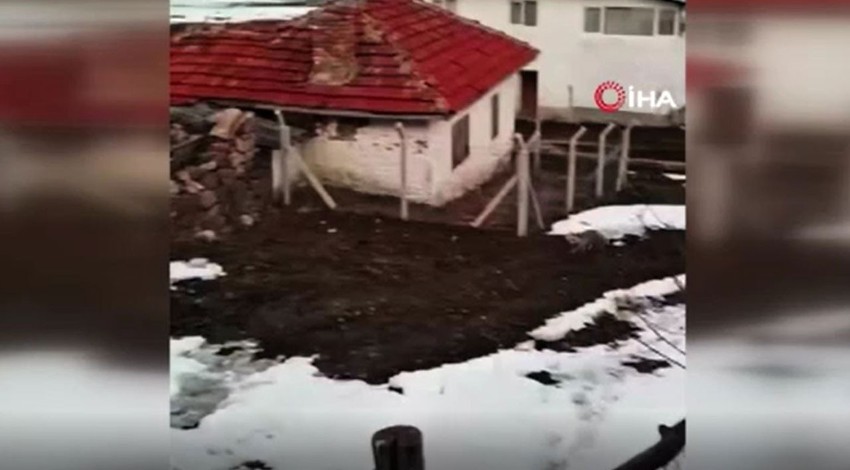 Ankara'da evinin bahçesine giren hayvanı gördü. Kapısının önüne kadar gelen hayvana verdiği tepki dikkat çekti