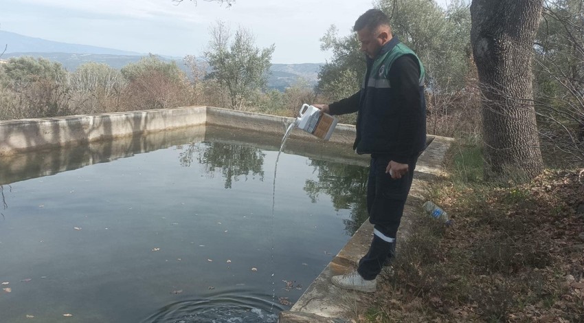 Hava sıcaklıklarının yükselmeye başladığı Aydın'da ekiplerin de mesaisi başladı. Dere yataklarını ve su birikintilerini tek tek ilaçladılar