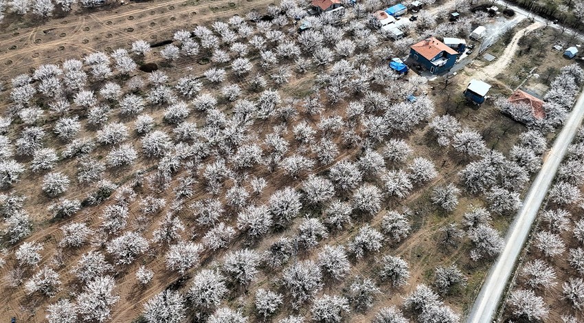 Malatya 22 derecelik havada beyaz gelinliğini giydi... Her taraf bembeyazla kaplandı. Ortaya müthiş bir manzara çıktı