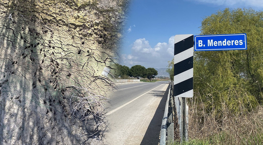 Aydın'da 1 yıl önce doğadaki yere gelen vatandaşlar, 1 yıl sonra aynı yere geldiklerinde gördükleri manzara ile dehşete düştü. Resmen felaket habercisi