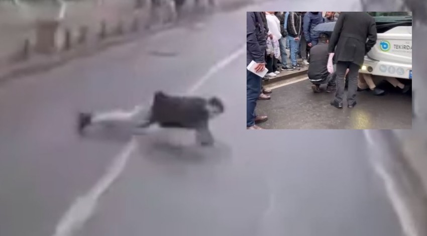 Tekirdağ'da trafikte korkutan olay! Seyir halindeki halk otobüsünün önüne atladı: O anlar kameraya yansıdı