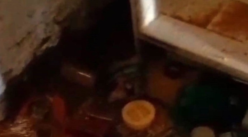 Trabzon'un Araklı ilçesinde doğada kış uykusundan uyandı. Tek 1 başına yapmaması gerekeni yaptı. Türkiye hazır olsun 200'lerce uyanacak