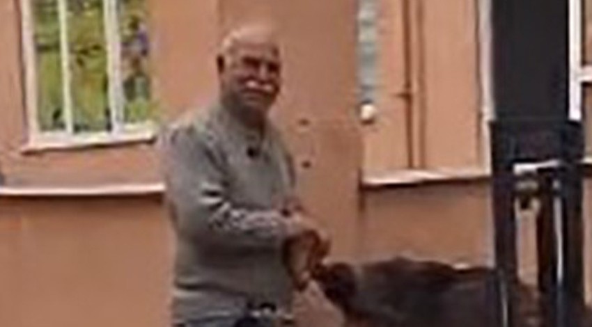 Muğla’da sürü halinde 1,2,3,4,5,6 tanesi teker teker giriş yapan korkunç hayvanı ekmek vererek uzaklaştırmak zorunda kaldı. Yakında her yerden çıkabilirler