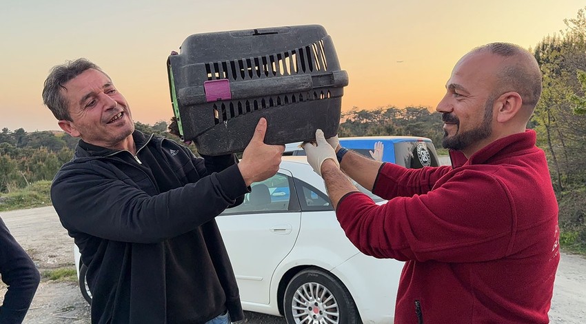 Arnavutköy’de 100'lerce torba ot toplamak için doğaya giden vatandaş çalılıklarda hareket olunca arkasında onu buldu