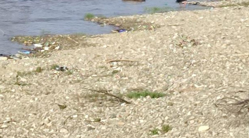 Kastamonu'da doğada tek 1 başına ortaya çıktı. Normalde beyaz görülen hayvan ilk kez siyah olarak görüldü