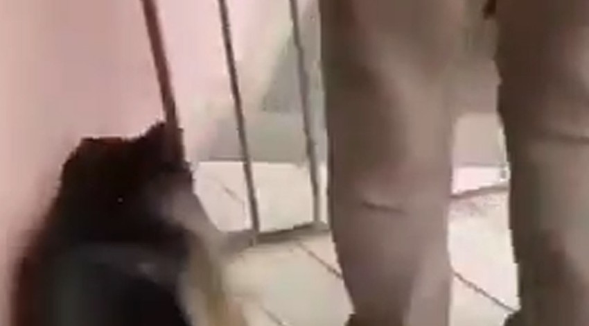 3 yıl boyunca hayvanından ayrı kaldı, 3 yıl sonra hayvanının yanına geri döndüğünde ortaya çıkan manzara herkesi ağlattı