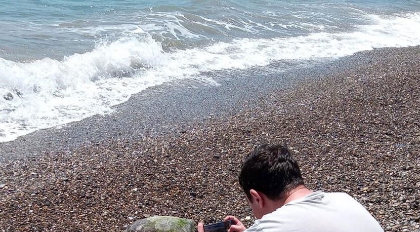 Antalya'da nesli tükenme tehdidi altındaki hayvan sahile vurdu. Hareketsiz olduğunu görenler ekiplere haber verdi. İnceleme başlatıldı