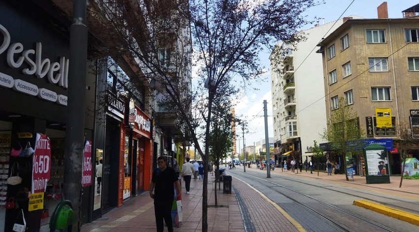 Eskişehir'de cadde üzerindeki ağaçtaki manzarayı gören vatandaşlar hayrete düştü! Sadece 1 değil 2,3 tane ağaçta aynıydı