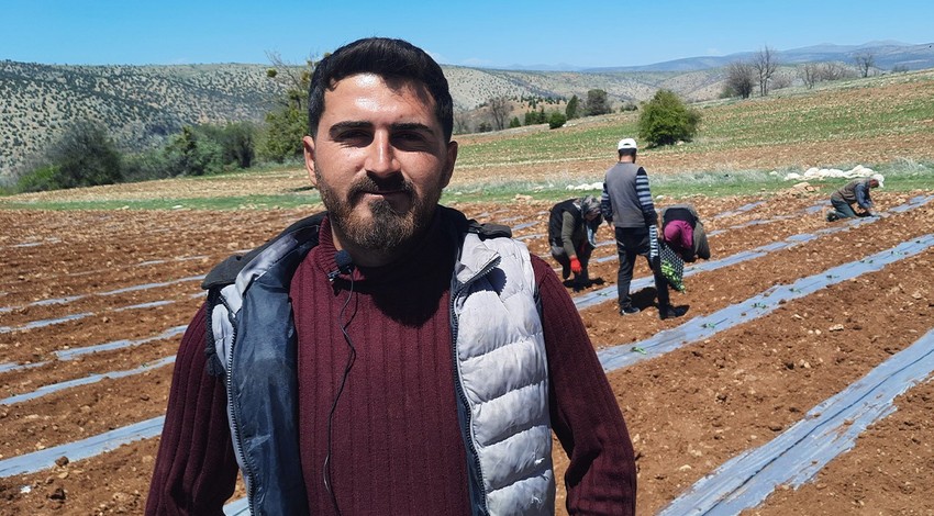 Konya'da 1'er 1'er toprağa bırakılmaya başlandı. Üzerine ne gelirse gelsin onu topraktan koparamaz. Yakında Konya'da her yerde dolacak