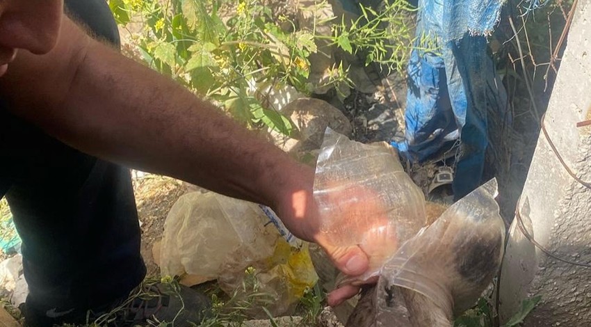 Hatay'da yavru hayvanın kafasının bidona sıkıştığını fark etti. İmdadına itfaiye ekipleri koştu
