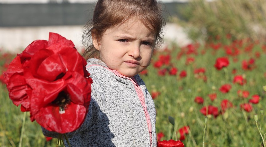 Hatay'da 5 dönümlük arazide kırmızı ve yeşil birleşti. Doğa ortaya harika bir manzara çıkarınca görenler büyülenip kaldı