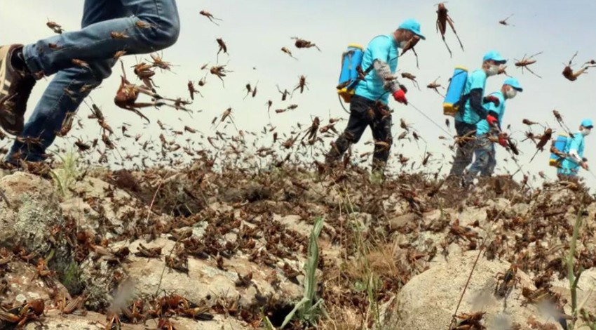 Türkiye'ye Trakya üzerinden 1000'lercesi patır patır sınırdan giriş yapmaya başladı.... 1000'lercesine karşı acil önlem çağrısı