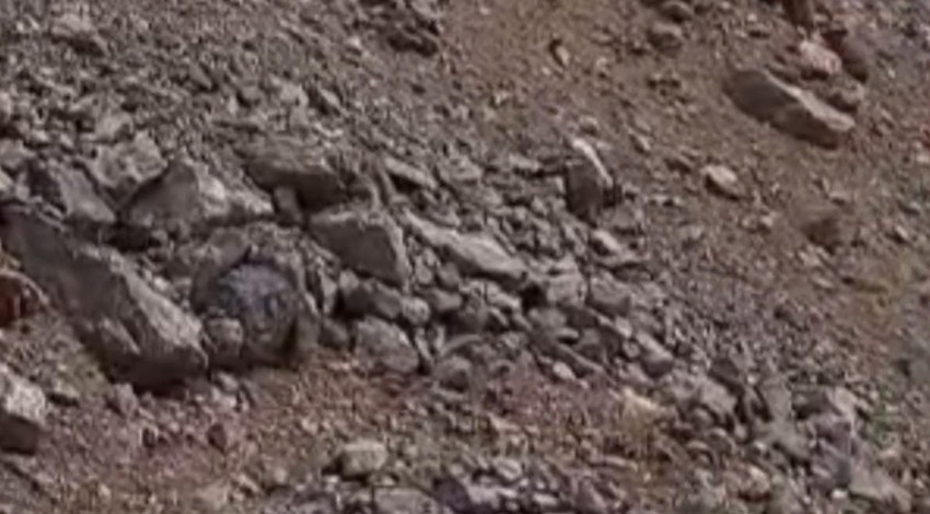 Hakkari'de dağda önce 1 tanesi çıktı hemen arkasından 2 tanesi daha belirdi. Türkiye'de yakında 1000'lercesi her yerden çıkacak