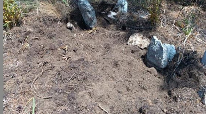 Antalya'da 50'lercesi bir anda akın etmeye başladı. Mahalleli mezarlığa gidince korkunç manzarayı gördü. Acil tel örgü çağrısı