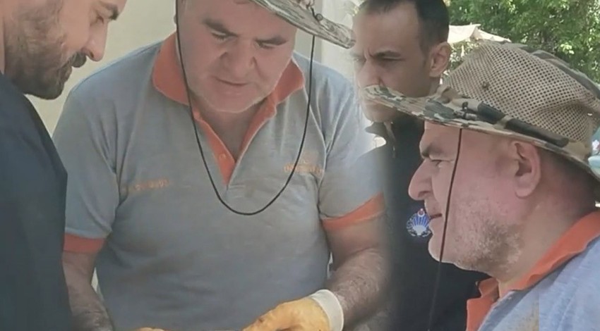 Denizli'de tarlasını biçmeye 2, 3 metre kala çiftçi gördüğü manzara karşısında resmen dondu kaldı! Karşısındaki hayvana bakınca tanımadı Sırbistan'dan gelmiş