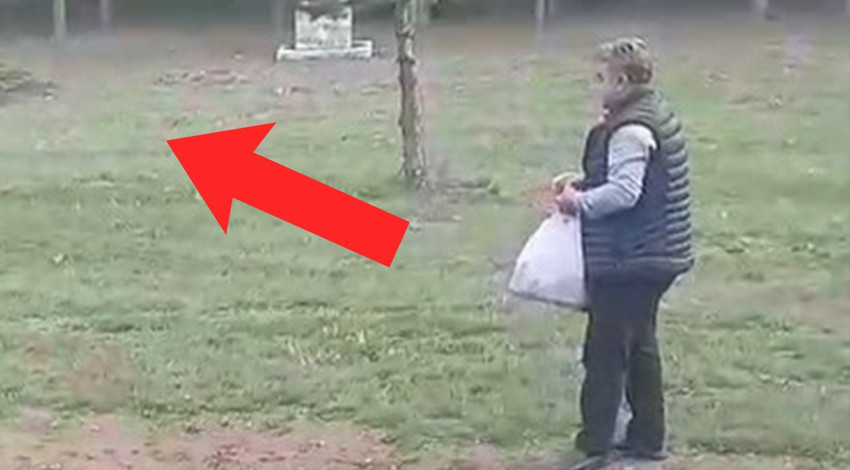 Erzincan’da 1 tanesi doğadan gelerek insanların dibine kadar girdi... Vatandaşın elleriyle beslediği hayvanı görenler dehşet içinde kaldı
