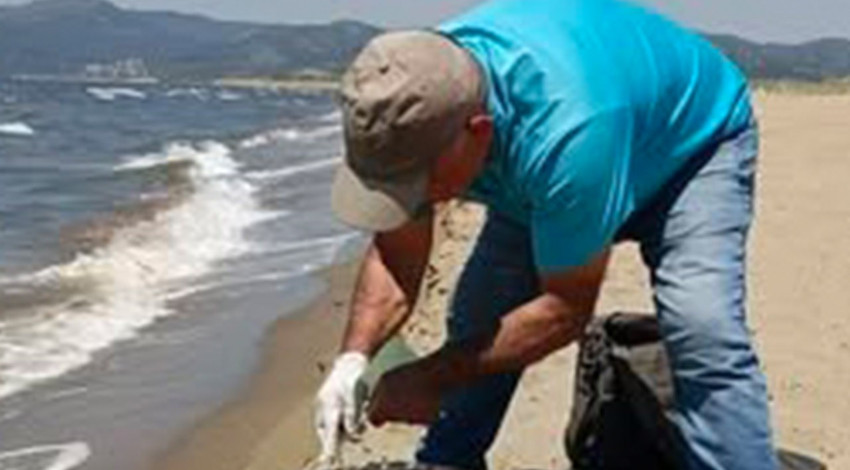 Aydın’da sahil kıyısına vuran hayvanı gören vatandaşlar hemen harekete geçti! 1 kez nefes almak için çırpınıyordu