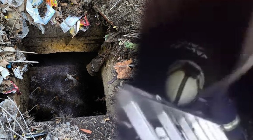 Yalova'da bahçedeki 3 metrelik rögar kuyusundan acı acı bağırışlar geldiğini duyan resmi ekipler kuyuya inince karşısında 1 tek onu gördü