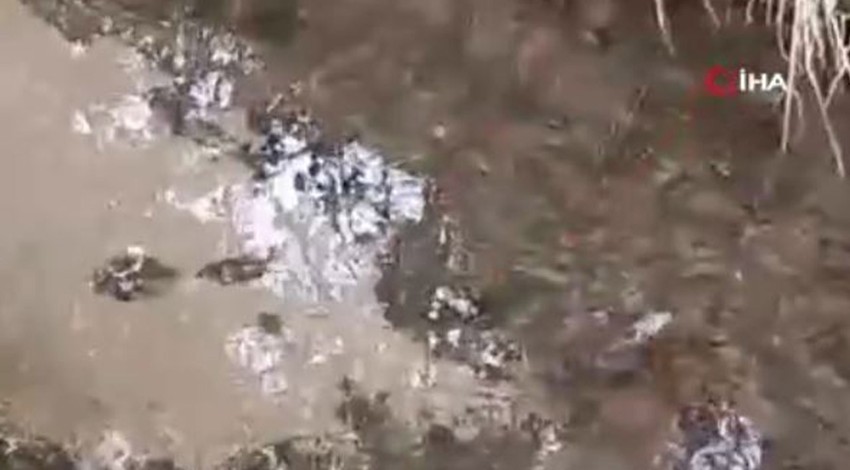 Bitlis'te doğada insandan kaçan ve görülmeyen hayvan 1,2,3,4,5 tane sürüyle ortaya çıktı. 5 tanesini birden gören vatandaşlar dondu kaldı