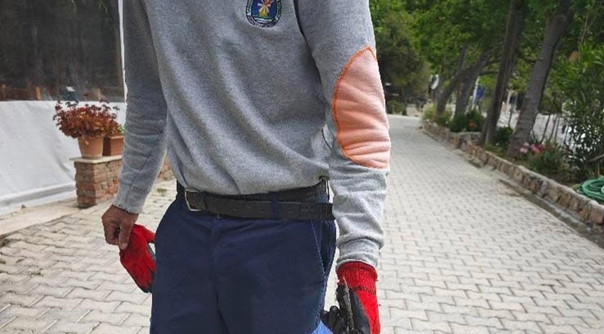 Hatay, Adana, Mersin üzerinden Kocaeli, Bursa, İstanbul'a doğru 50'şer 50'şer istilaya geçtiği söylenmişti! Muğla'da 1 tanesini görenler şaştı kaldı
