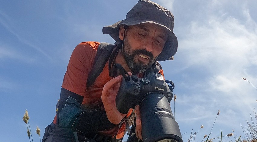 Diyarbakır'ın Bosman Dağı ile Elazığ'ın Hazar Dağı mevkisinde doğada keşfedildi. 56 tane arasına girdi