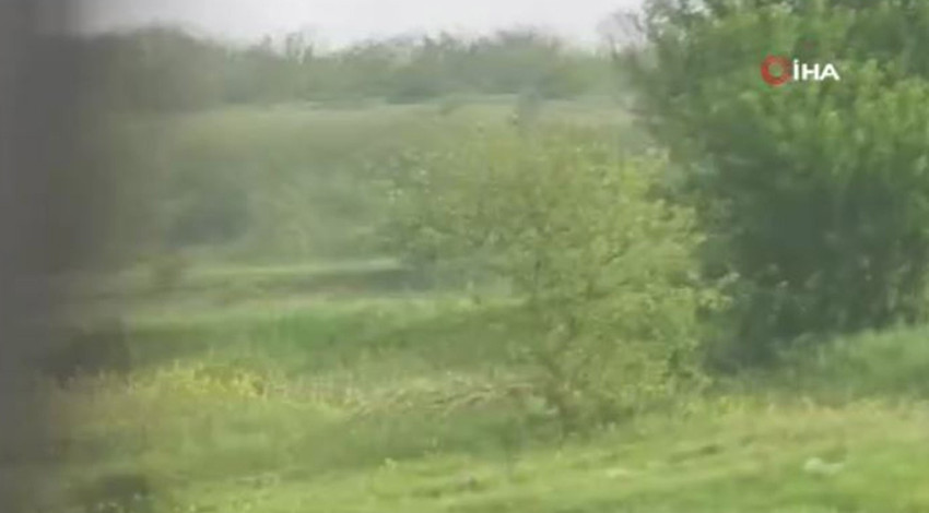 Karabük’te 1 tanesi çalılıkların arasından bir anda otomobil sürücüsünün önüne atladı. Sürücü büyük panik yaşadı