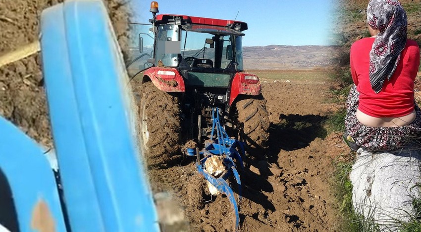 Elazığ'da traktörüyle birlikte tarla süren vatandaşın 10 dönümlük tarlasında bir anda karşısına çıktı. Boyu 2 metreye kadar vardı