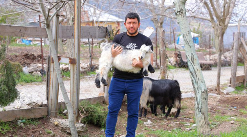 Kahramanmaraş'ta çiftçiler 100'lerce ağaçlarının olduğu bahçeye girince korkunç manzara ile karşılaştı. Türkiye'ye kötü haber