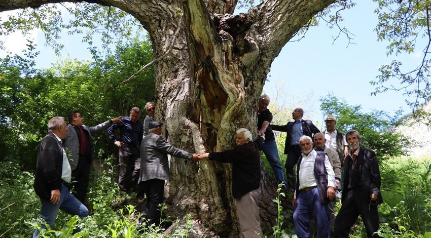 Erzurum'da en az 300 yıldan bu yana aynı yerde duruyor... 300 yıldır neler gördü neler