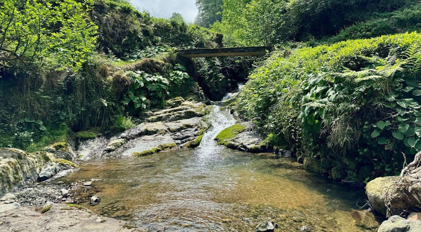 Rize'de her zaman beyaz akıyordu, bir anda kırmızıya dönünce vatandaşlar büyük panik yaşadı