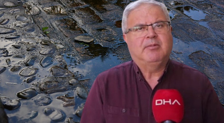 Samsun'da daha 100.000'lercesi ortaya çıkmadı. Oraları yok edilmezse daha da çoğalacaklar