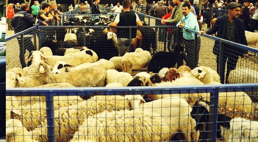 Kurban kesim ücretleri belli oldu