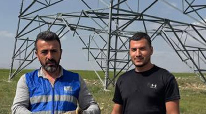 Niğde'de Enerji iletim hattında görevli hat bakım şefi Cengiz Koç çalışma sırasında o hayvanı gördü. 1 adım atacak hali yoktu
