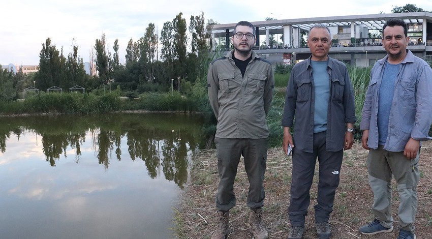 Çin'den Diyarbakır'a kadar geldi... O hayvandan 1 tanesini görüntülemesinin ardından acilen Diyarbakır'a ekip gitti