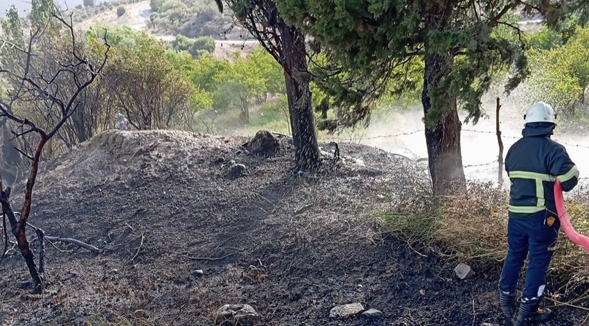 Hatay'da alevlerin arasında kalan hayvan cayır cayır yanacaktı. Son anda müthiş bir şey oldu