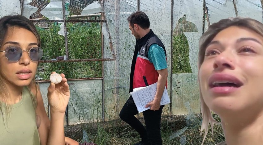 Antalya'da dolu ve hortum felaketi: Yaban mersini üreticisi yaşadıklarını gözyaşlarıyla anlattı! "Arabalarımızın camları patladı"