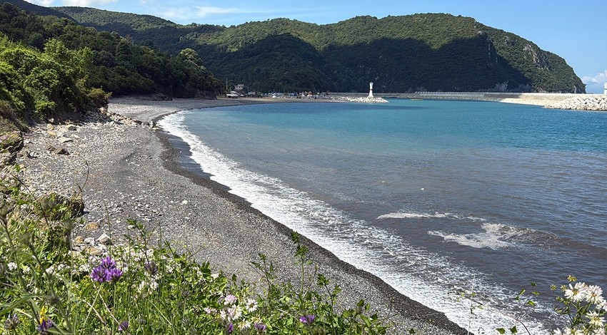 Bartın Amasra’da deniz kirliliği gittikçe artıyor. Ekipler numune alarak inceleme başlattı
