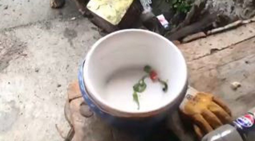 Artvin’de vatandaşlara korku dolu anlar yaşatan hayvan evin kapısına kadar geldi. Çöpleri karıştırırken kameraya yakalandı