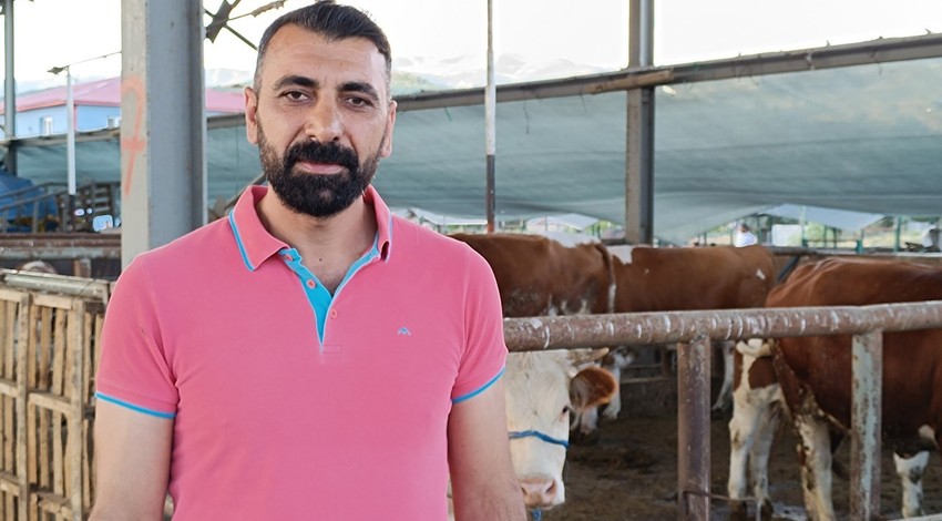 Bingöl’de tam 1,3 ton ağırlığıyla olduğu yerde durup yeni sahibini bekliyor! Hayvan pazarına giden herkes onu görmek istiyor